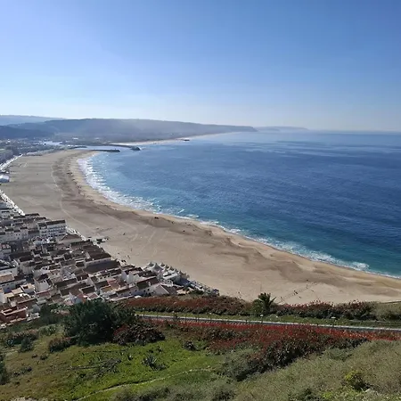 Graos D'oceano *